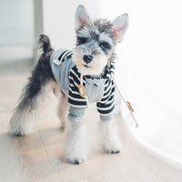 HKM-1926973 Casual Cotton Hooded Sweater for Dogs