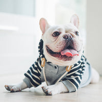 HKM-1926973 Casual Cotton Hooded Sweater for Dogs