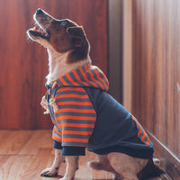 HKM-1926973 Casual Cotton Hooded Sweater for Dogs