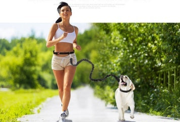 HKM-1932349 Adjustable Reflective Dog Running Belt with Elastic Leash for Small to Medium Dogs, Comfortable Nylon Traction Rope for Hands-Free Walking and Hiking