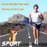 HKM-1932349 Adjustable Reflective Dog Running Belt with Elastic Leash for Small to Medium Dogs, Comfortable Nylon Traction Rope for Hands-Free Walking and Hiking