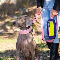 HKM-1936317 Adjustable Floral Pet Collar and Lead Rope Set - Wine Red, Barbie Pink, Grape Purple
