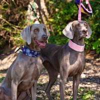 HKM-1936317 Adjustable Floral Pet Collar and Lead Rope Set - Wine Red, Barbie Pink, Grape Purple