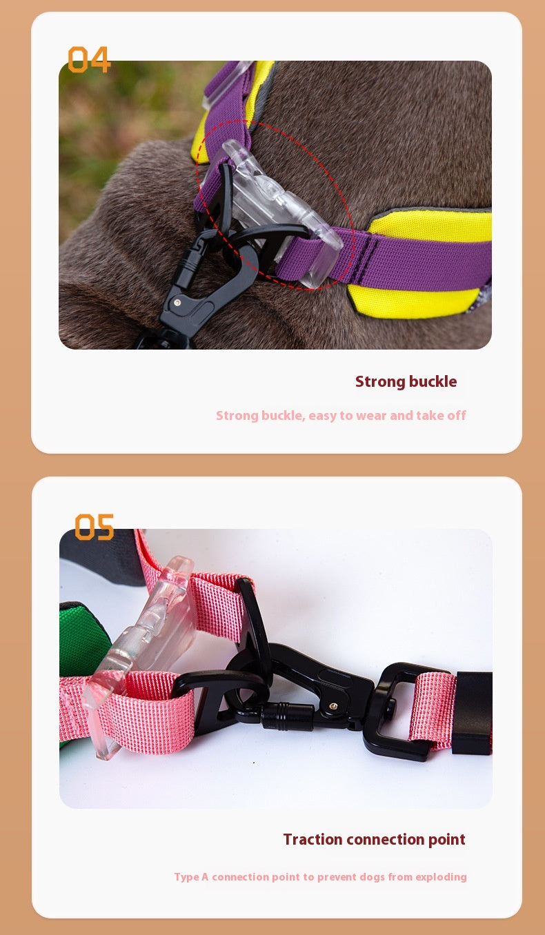 HKM-1936317 Adjustable Floral Pet Collar and Lead Rope Set - Wine Red, Barbie Pink, Grape Purple