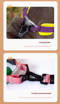 HKM-1936317 Adjustable Floral Pet Collar and Lead Rope Set - Wine Red, Barbie Pink, Grape Purple