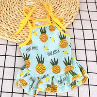 HKM-1936701 Fruit Pattern Mesh Skirt Vest for Pets - Available in Pineapple, Banana, Strawberry
