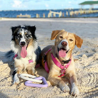 HKM-1936957 Large Triangular Pull Ring Toy Made of Durable Cotton Rope for Interactive Pet Play