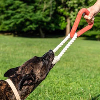 HKM-1936957 Large Triangular Pull Ring Toy Made of Durable Cotton Rope for Interactive Pet Play