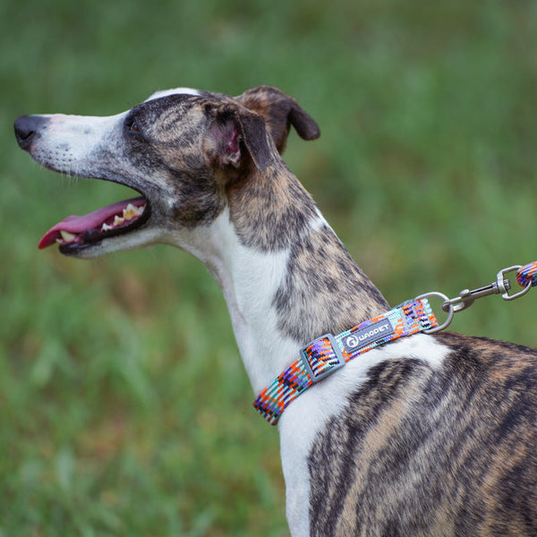 HKM-1938109 Outdoor Hand Holding Rope for Medium to Large Dogs - Nylon, Casual Design, Available in Multiple Colors