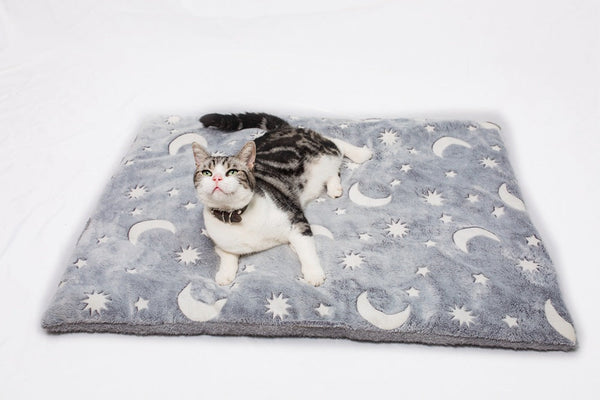 HKM-1945917 Luminous Flannel Pet Cushion Mat in Gray - Sizes S, M, L Available
