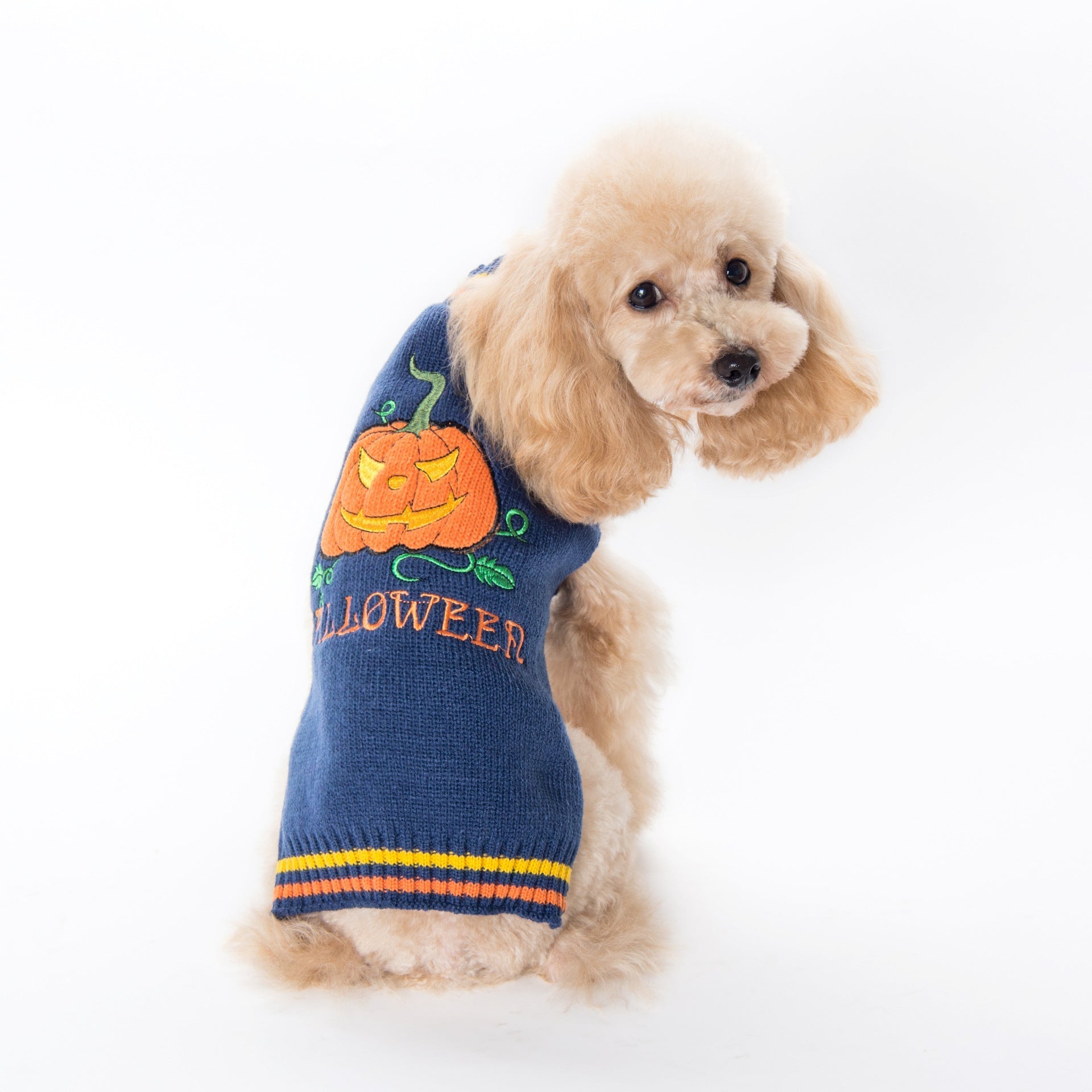 HKM-1947837 Cozy Pumpkin Sweater for Dogs - Halloween Pet Clothing in Various Sizes and Designs