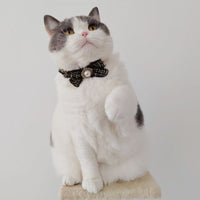 HKM-1957565 Elegant Black and White Cotton Cat Bow Tie Pet Collar - Size M and L Options Available