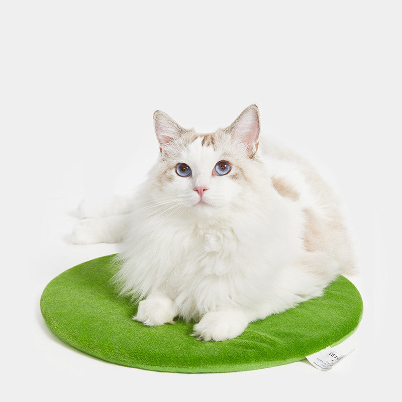 HKM-1959613 Cactus Pet Nest Plus Velvet Cat Bed - Dark Green, Medium Size, 100% Polyester & Polypropylene EPE