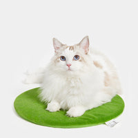 HKM-1959613 Cactus Pet Nest Plus Velvet Cat Bed - Dark Green, Medium Size, 100% Polyester & Polypropylene EPE