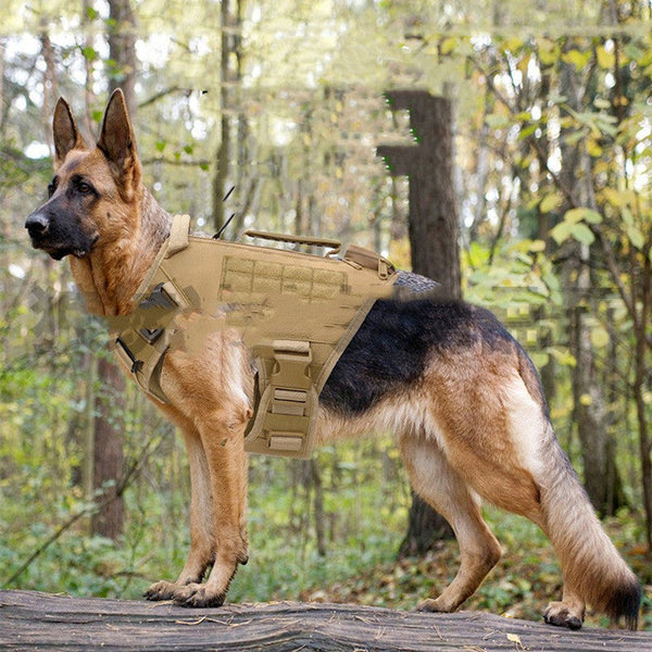 HKM-1959741 Tactical Dog Chest Strap with Accessory Options in Black and Mud Colors