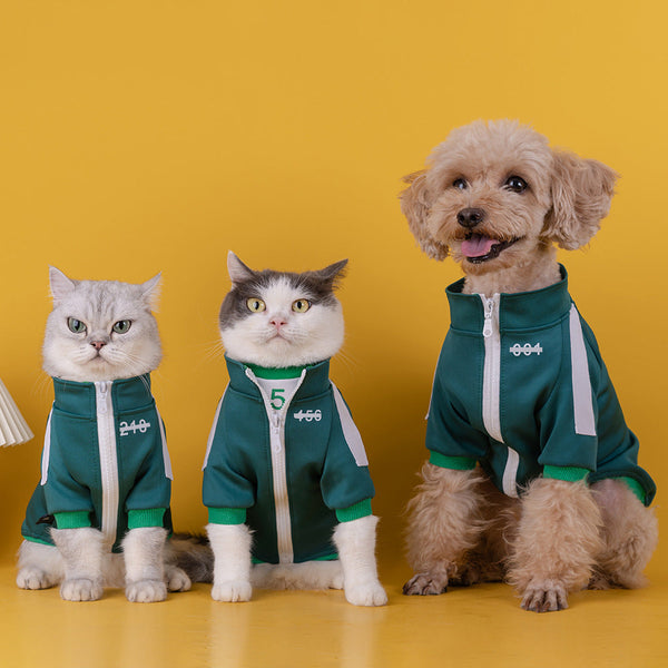 HKM-1960637 Casual Sweater Coat for Small and Medium Dogs and Cats