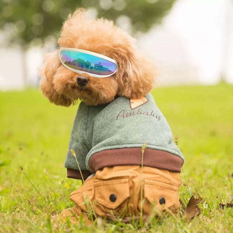 HKM-1962941 Pet UV Protection Goggles for Small Dogs and Cats - Lightweight and Durable Plastic Design