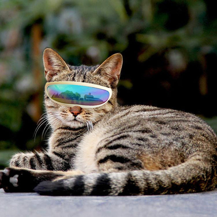 HKM-1962941 Pet UV Protection Goggles for Small Dogs and Cats - Lightweight and Durable Plastic Design