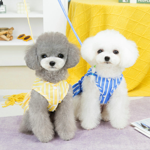 HKM-1963709 Casual Blue and Yellow Skirt for Small to Medium Dogs, 25% Cotton and 75% Polyester, Includes Lead Rope