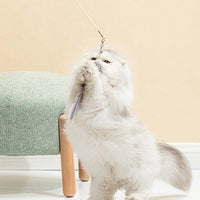 HKM-1966141 Telescopic Cat Toy Laser Stick with Feathers in 3 Vibrant Styles