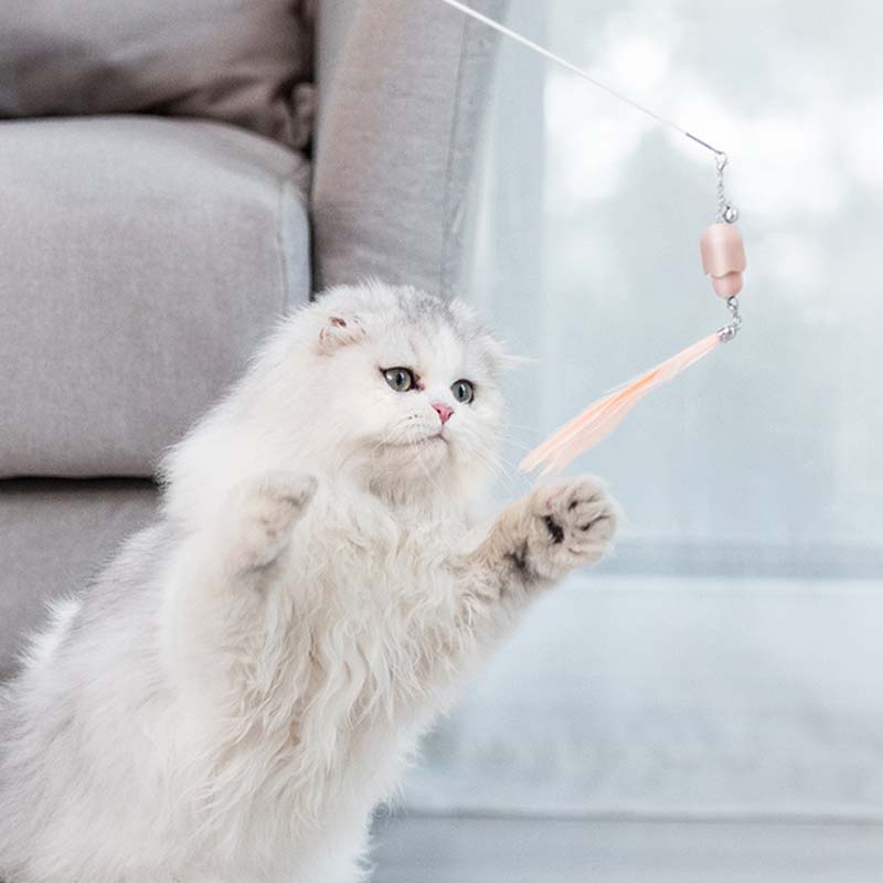 HKM-1966141 Telescopic Cat Toy Laser Stick with Feathers in 3 Vibrant Styles