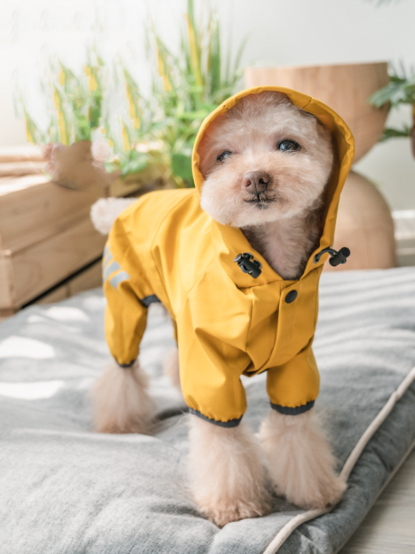 HKM-1968701 Cozy Waterproof Poncho for Dogs - Available in Ginger Yellow, Sea Blue, and Pink