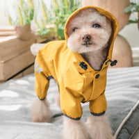 HKM-1968701 Cozy Waterproof Poncho for Dogs - Available in Ginger Yellow, Sea Blue, and Pink