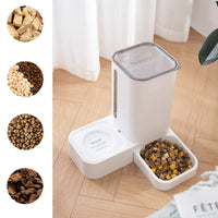 HKM-1973053 Automatic Pet Water Dispenser with Double Plastic Bowls - Grey, Blue, Purple - 32x31x32cm