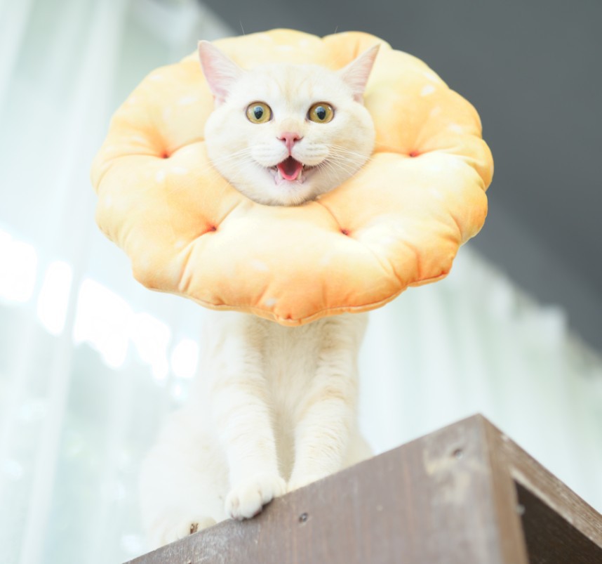 HKM-1974461 Cotton Polyester Anti-Lick Ring for Dogs - XS and S Sizes Available