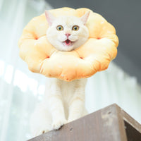 HKM-1974461 Cotton Polyester Anti-Lick Ring for Dogs - XS and S Sizes Available