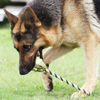 HKM-1975485 Interactive Eco-Friendly Cotton Rope Ball Dog Toy for Small and Medium Breeds