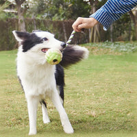 HKM-1975485 Interactive Eco-Friendly Cotton Rope Ball Dog Toy for Small and Medium Breeds