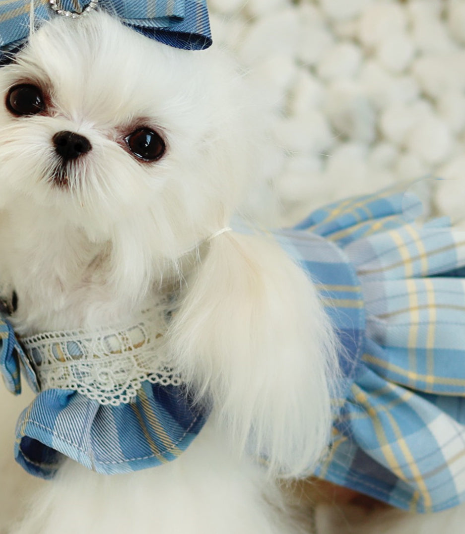 HKM-1976125 Cute Blue Plaid Suspender Skirt for Pets - College Style Dress in Light and Dark Blue Options