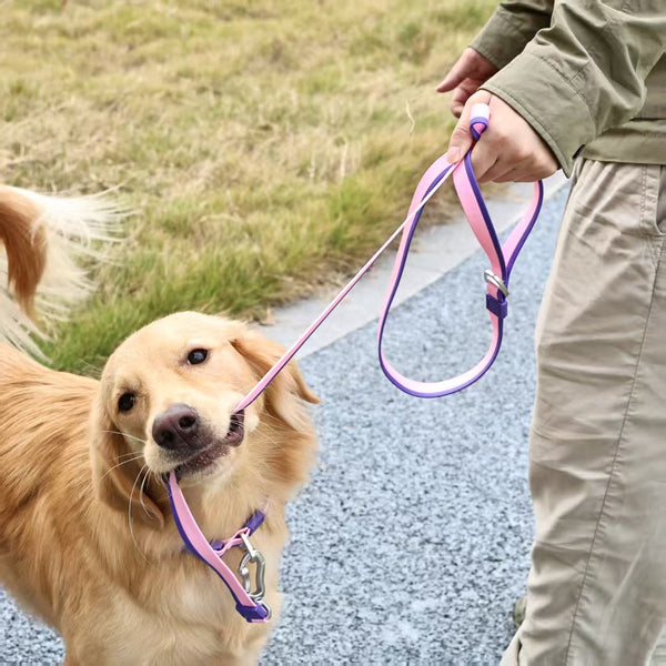 HKM-1976637 Dual-Color Embossed Dog Leash Set with 12 Customizable Accessories