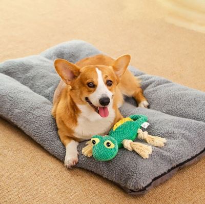 HKM-1983421 Lizard Plush Dog Toy - Bite-Resistant Molar Training Tool for Puppies and Small Dogs