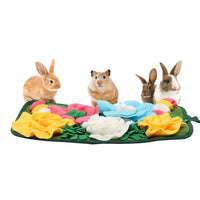 HKM-1985853 Foraging Mat for Rabbits and Guinea Pigs - Emotional Relief Garden Smelling Mat with Totoro Design