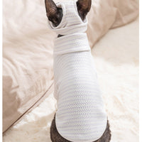 HKM-1987133 Textured Knit Striped Pet Hoodie Top for Cats and Dogs - Lightweight and Comfortable for Autumn and Winter