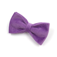 HKM-1988157 Purple Velvet Dog Collar and Leash Set with Drawstring Bow - Available in Multiple Sizes