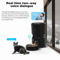 HKM-199315 Automatic 4L Cat Feeder with Voice Recording and Timed Dispensing