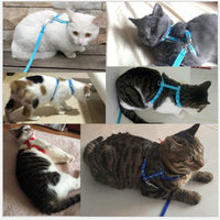 HKM-1993917 Adjustable Nylon Cat Vest Towing Rope with Chest Strap - Available in Various Colors