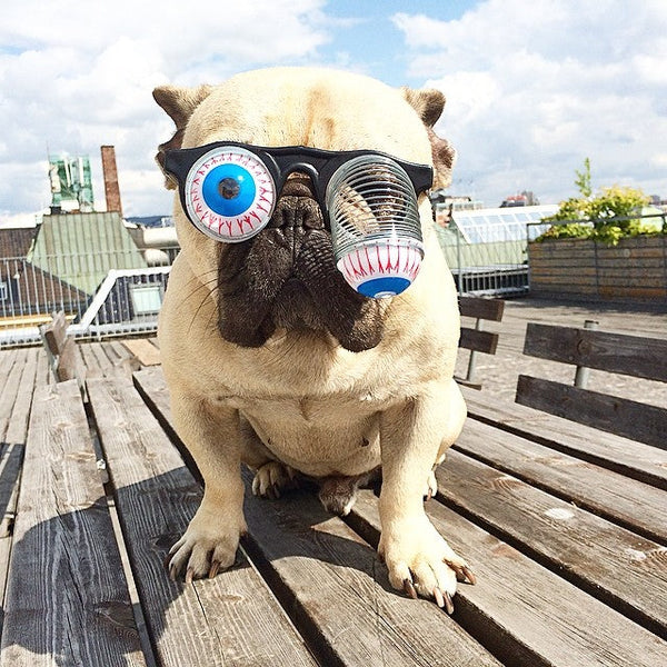 HKM-1995709 Stylish Round Lens Glasses for Pets - Colorful Headwear for Cats and Dogs