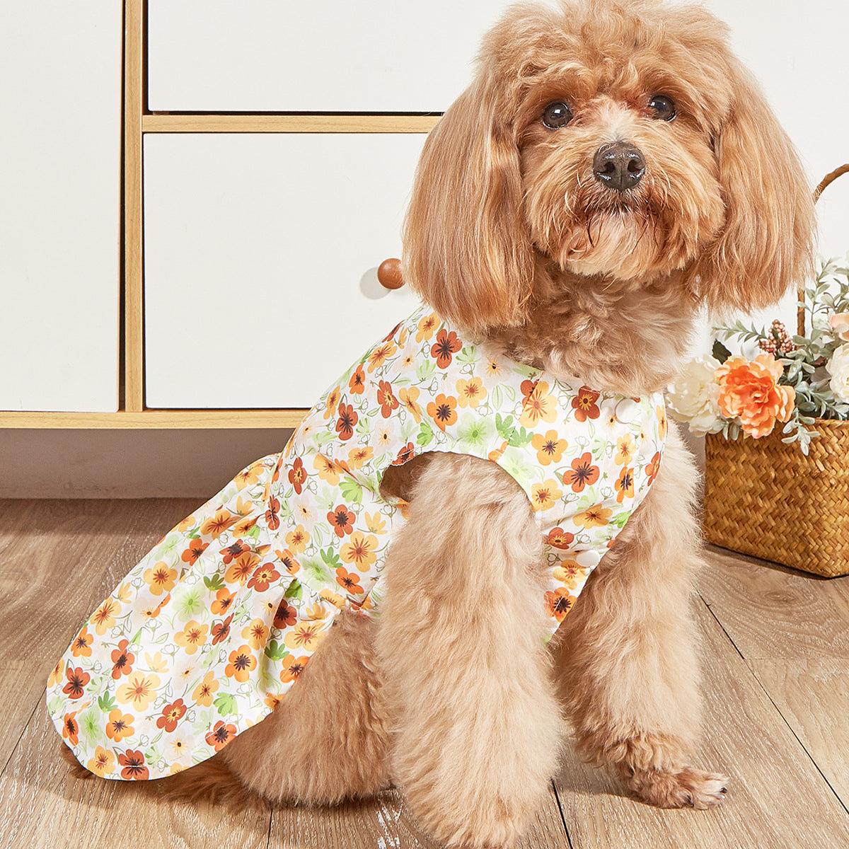 HKM-2000445 Breathable Pet Dog Princess Skirt with Cute Prints in Various Styles and Sizes