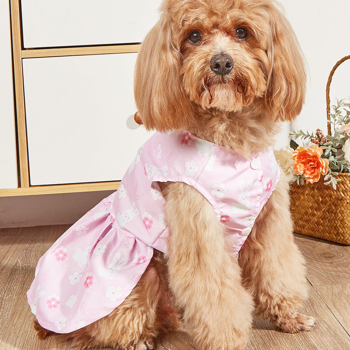 HKM-2000445 Breathable Pet Dog Princess Skirt with Cute Prints in Various Styles and Sizes