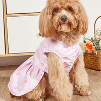 HKM-2000445 Breathable Pet Dog Princess Skirt with Cute Prints in Various Styles and Sizes