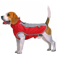HKM-2002237 Reflective Waterproof Winter Jacket for Small to Large Dogs - Perfect for Bulldogs and French Bulldogs