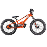 HKM-200275 36V 600W Electric Balance Bike with 20" Aluminum Alloy Frame and 3-Speed Gears