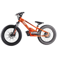 HKM-200275 36V 600W Electric Balance Bike with 20" Aluminum Alloy Frame and 3-Speed Gears