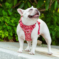HKM-2003133 Fashionable Pet Chest Strap in Floral Red and Floral Basket Designs - Pure Cotton, Pull-Resistant, Multiple Sizes Available