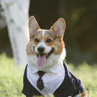 HKM-2007997 Navy Blue Pet Suit Dog Dress Tuxedo with Fake Two-Piece Design - Available in Multiple Sizes