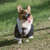 HKM-2007997 Navy Blue Pet Suit Dog Dress Tuxedo with Fake Two-Piece Design - Available in Multiple Sizes